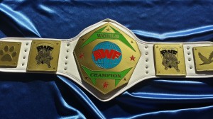 AWF Heavyweight Title